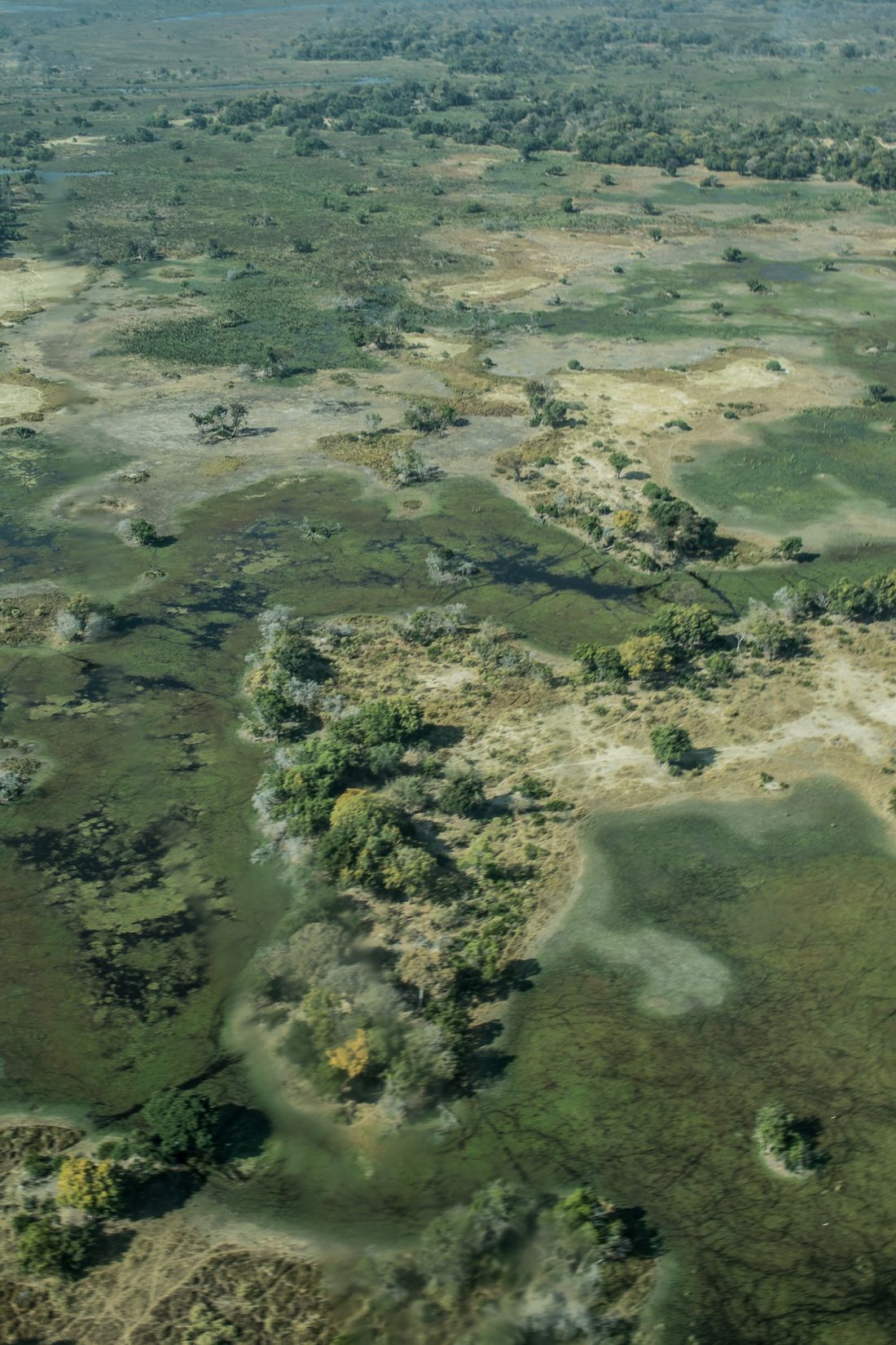 Okavango Delta, Botswana